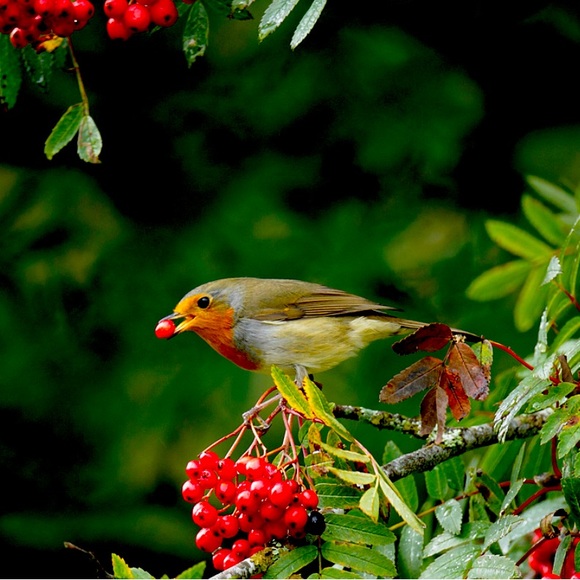 Meet your Posher, Karina - Picture 1 of 1